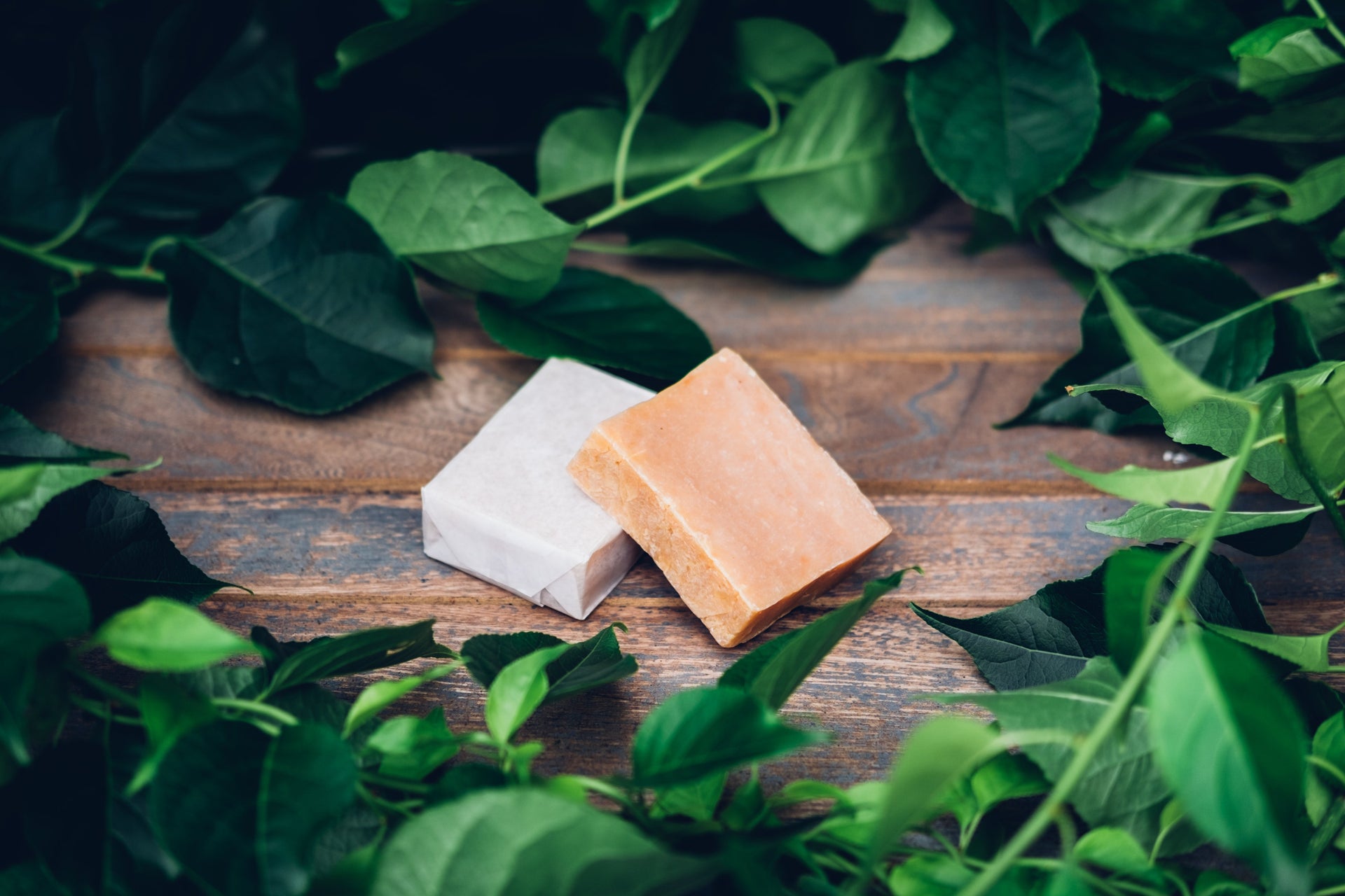 Skin & Hair Care Products