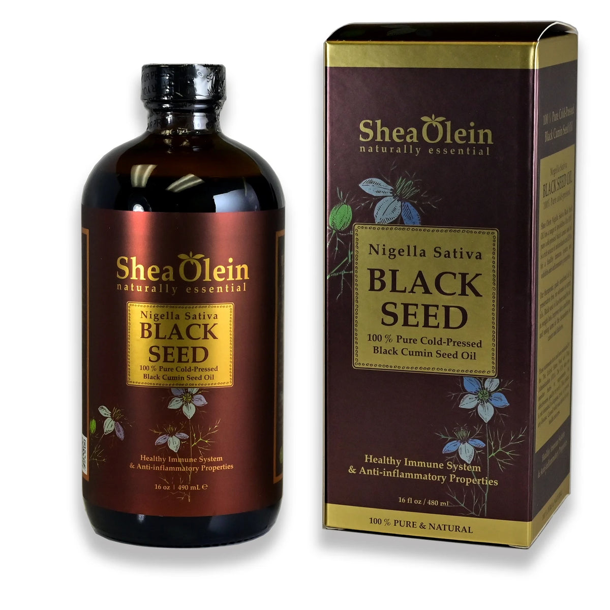 Shea Olein Black Cumin Seed Oil (Nigella Sativa) (16 Oz)